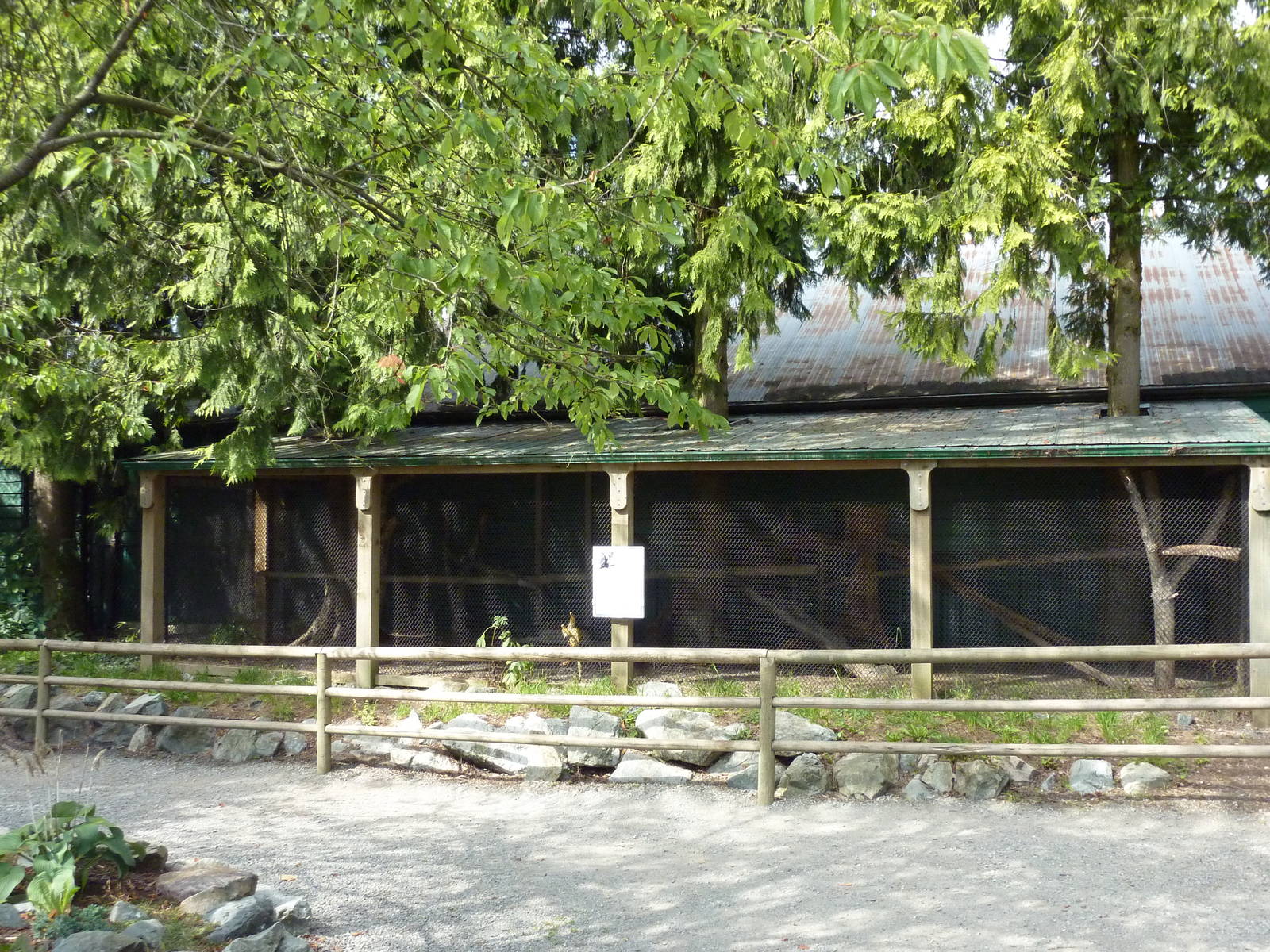 Squirrel Monkey Enclosure