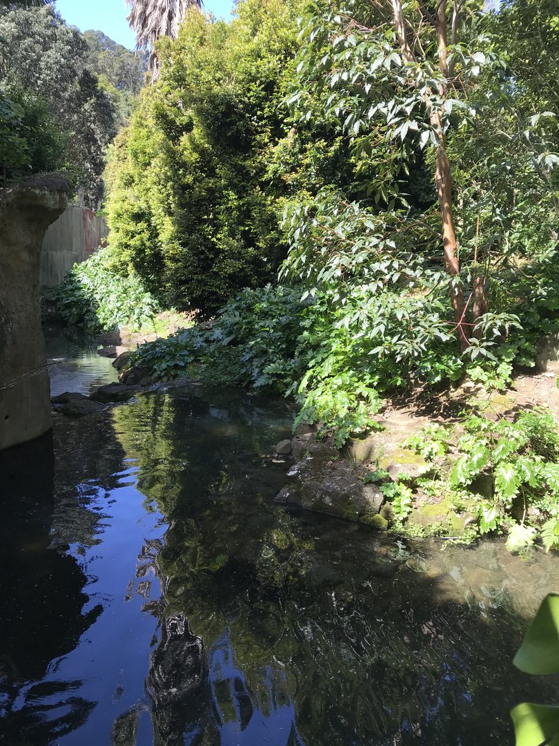 Squirrel Monkey enclosure