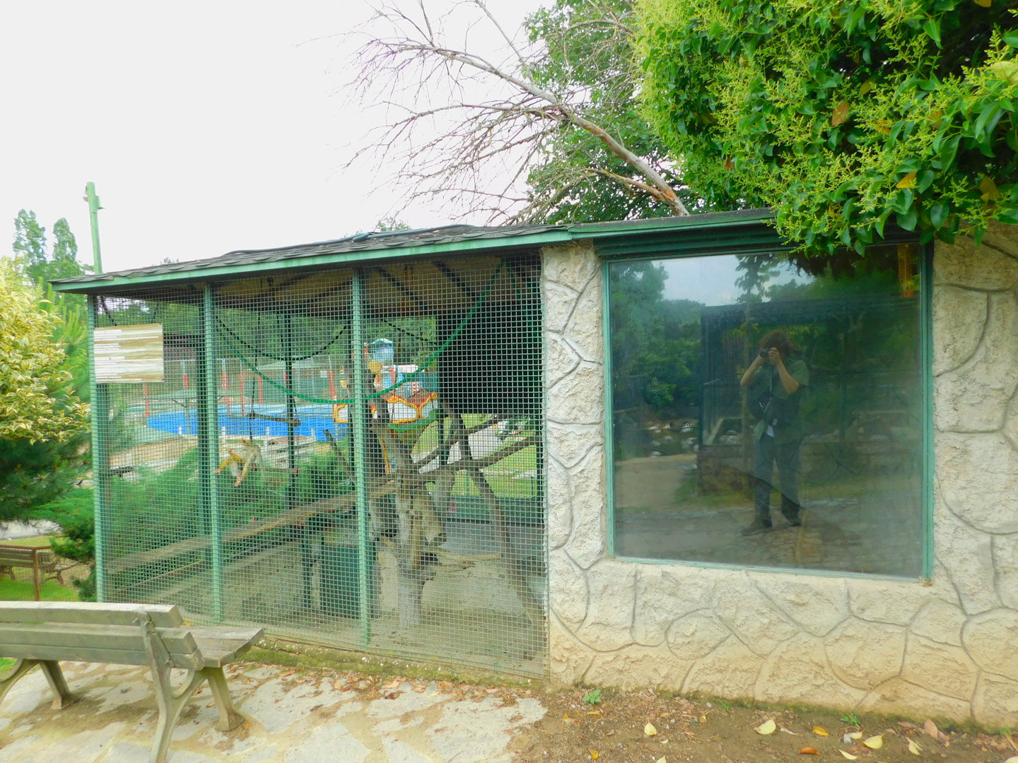 Squirrel Monkey Enclosure