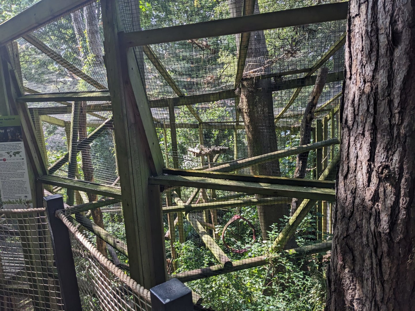 Squirrel Monkey enclosure