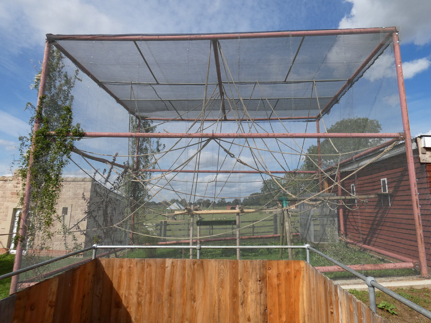 Squirrel monkey enclosure