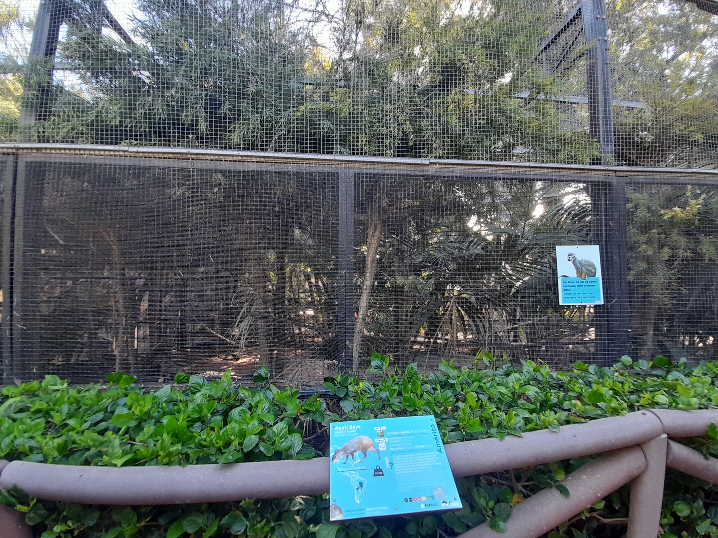 Squirrel Monkey - enclosure