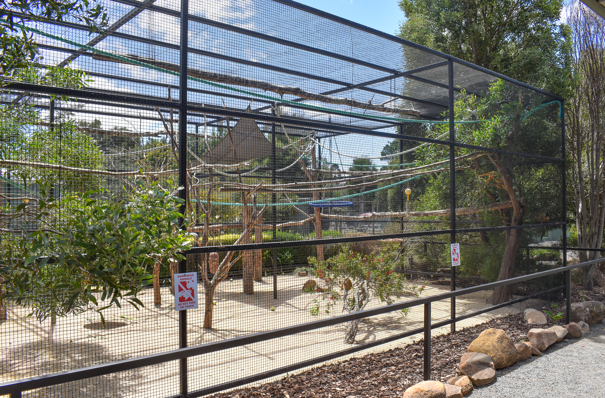 Squirrel Monkey Enclosure