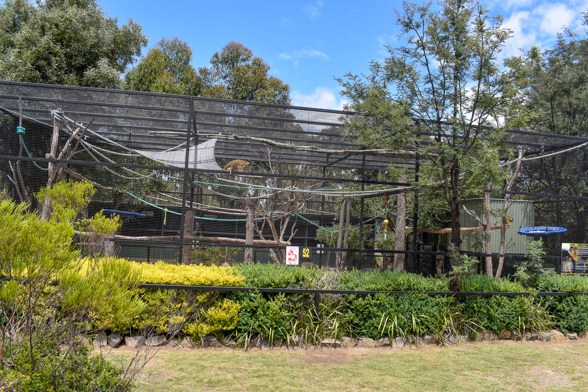 Squirrel Monkey enclosure