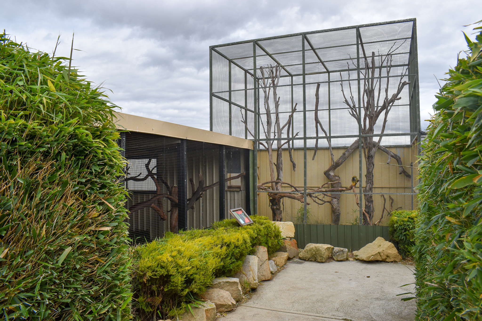 Squirrel Monkey enclosure