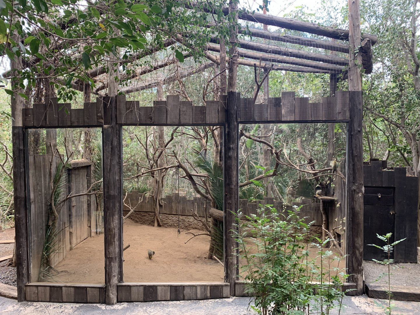Squirrel Monkey Enclosure