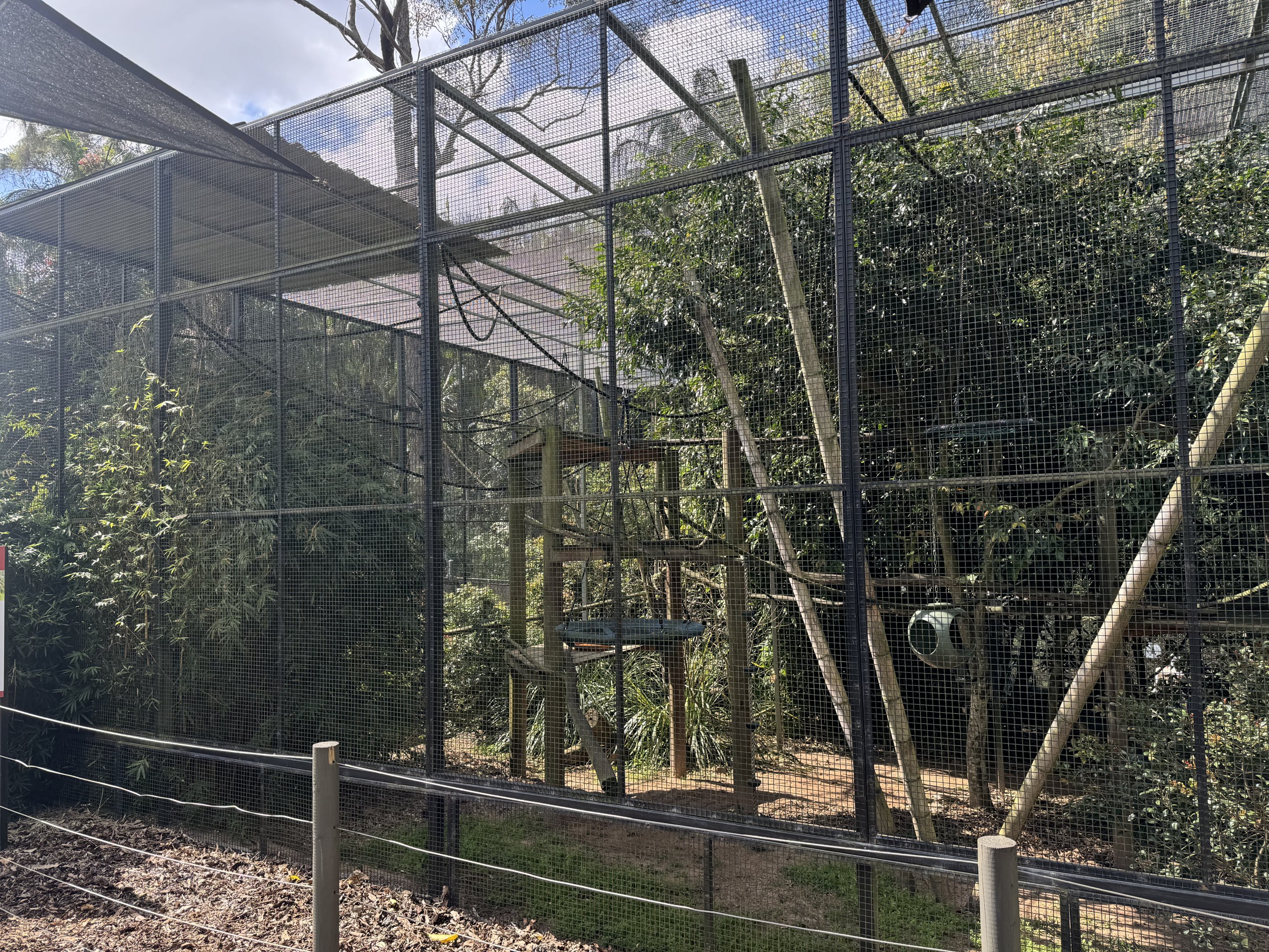 Squirrel monkey enclosure