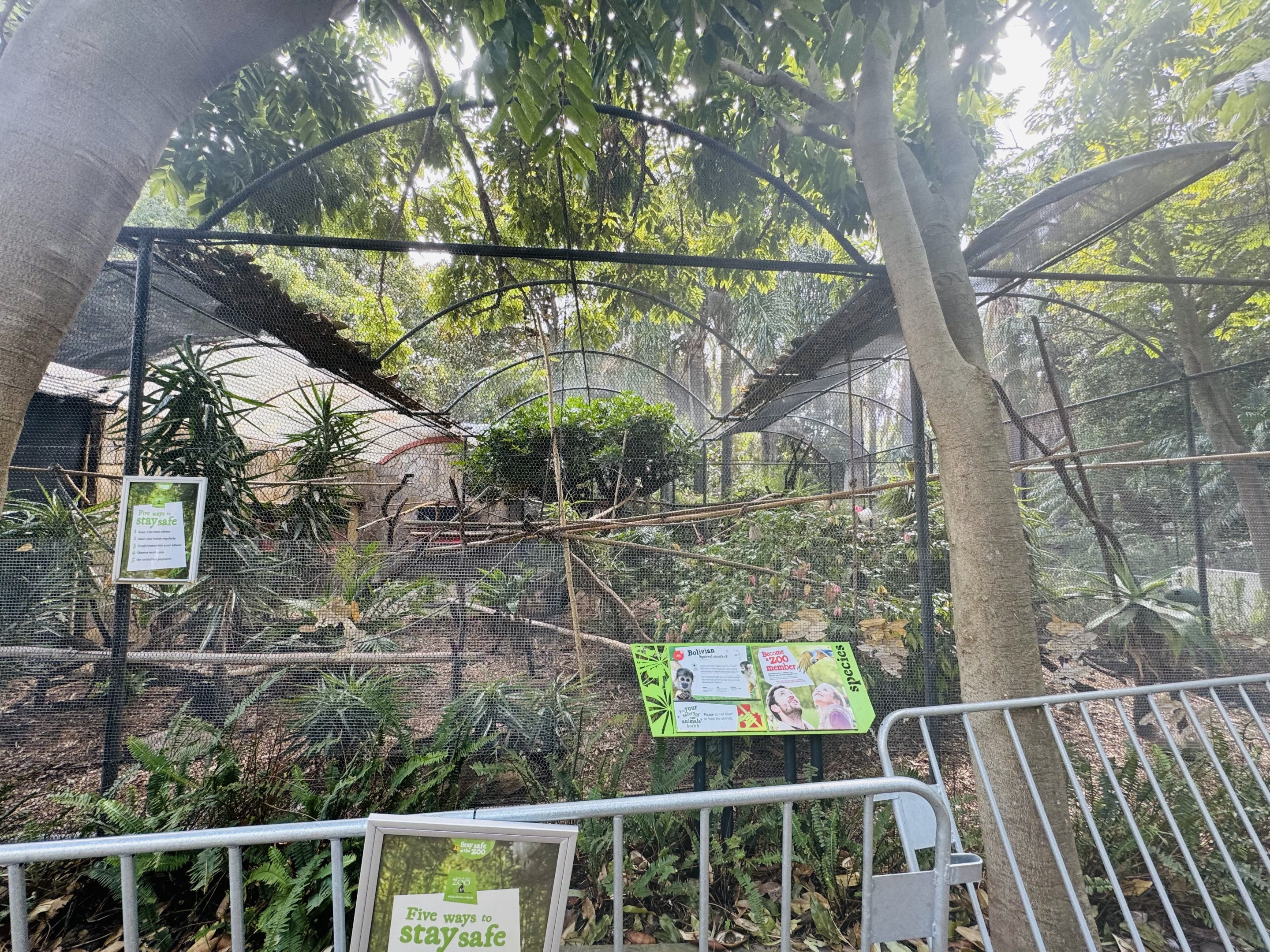 Squirrel monkey enclosure