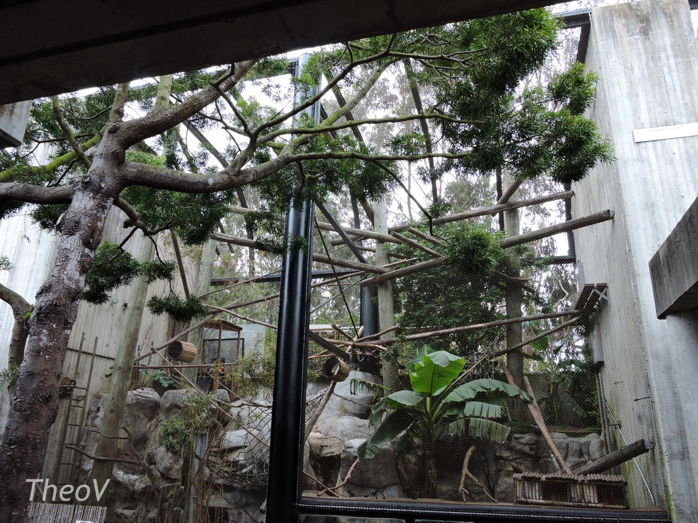 Squirrel monkey exhibit [2015]