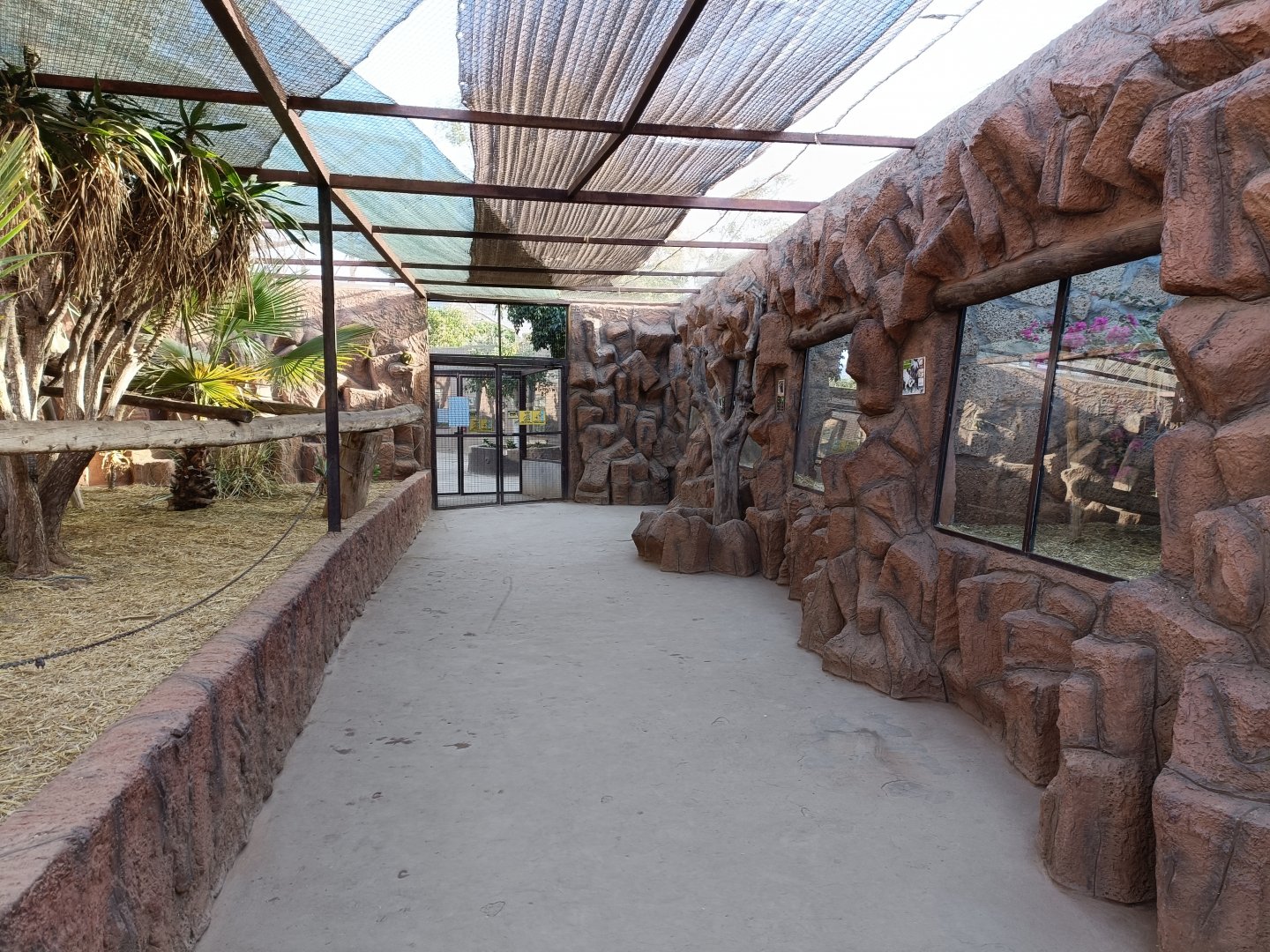 Squirrel monkey exhibit an titis exhibits