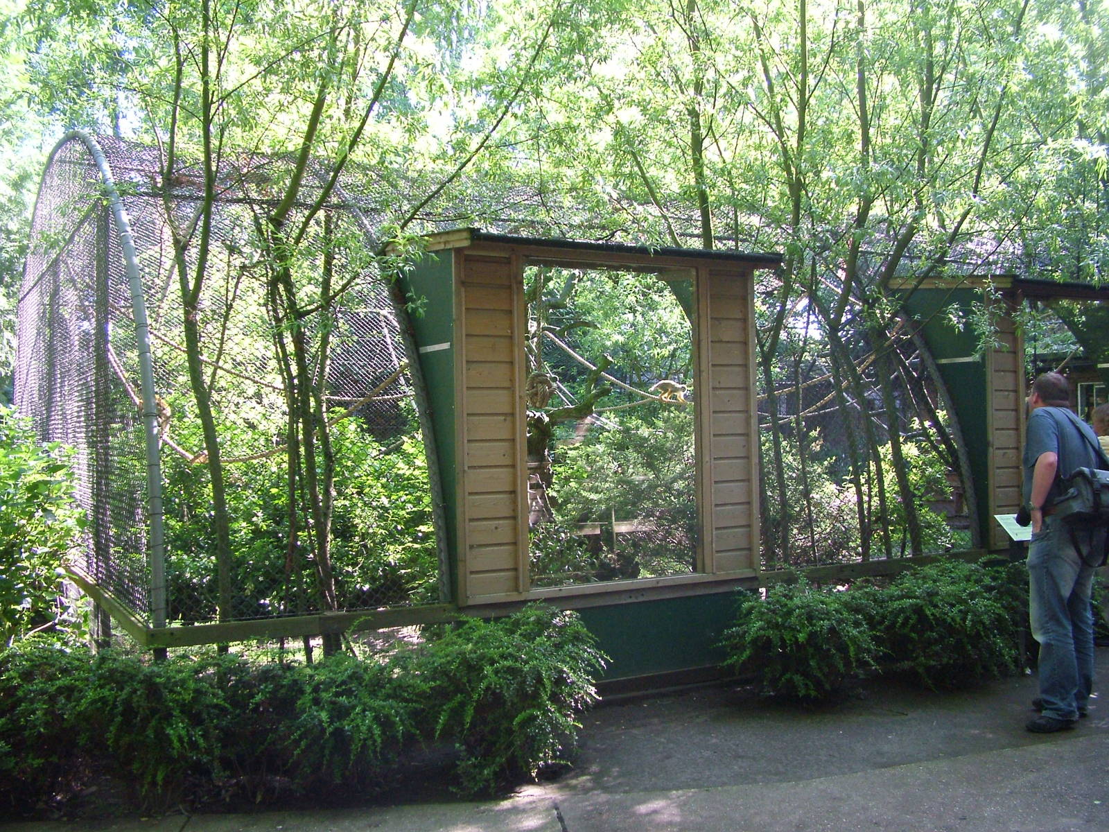 Squirrel monkey exhibit at BestZoo 16/05/09