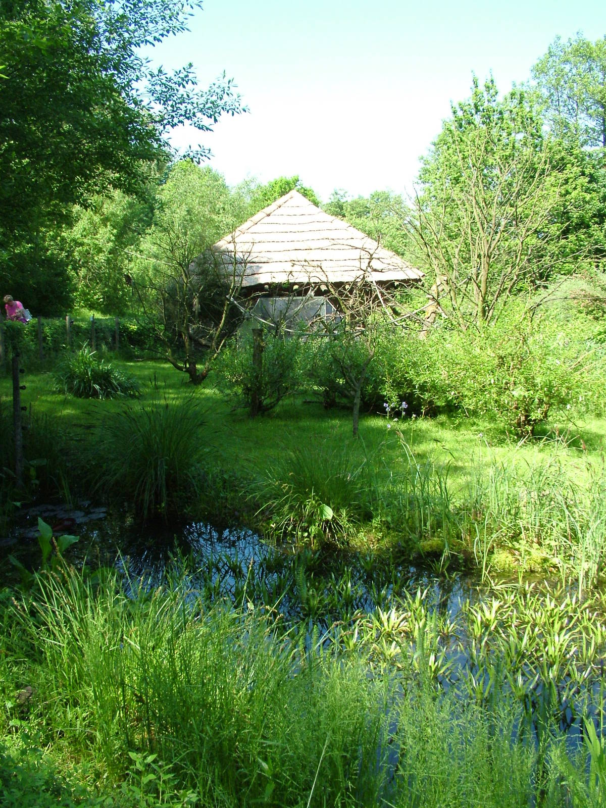 Squirrel Monkey exhibit at Zlin, 28/05/10