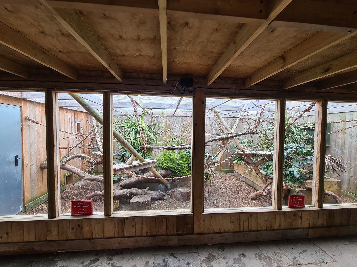 Squirrel Monkey Exhibit, Fenn Bell