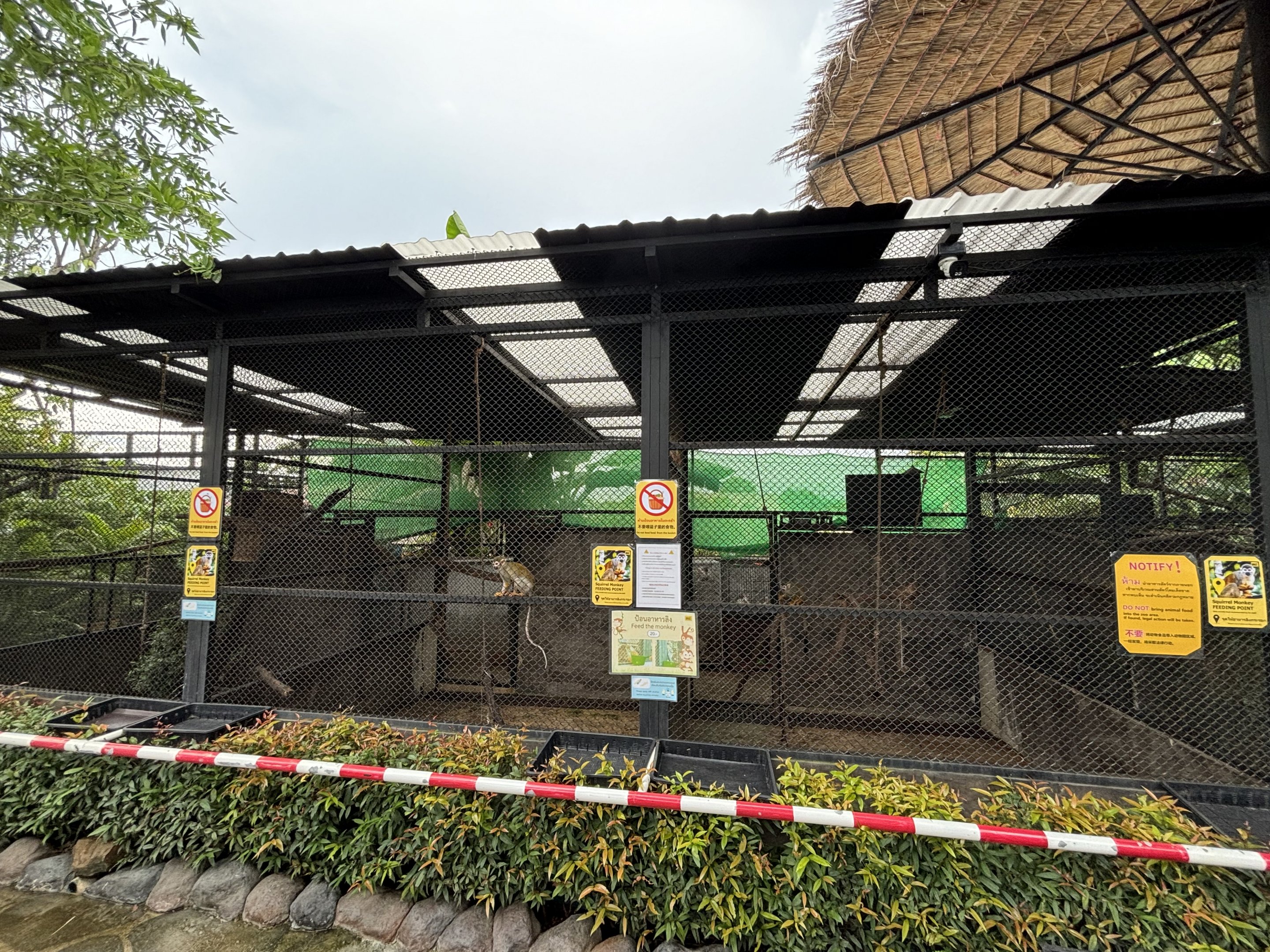 Squirrel Monkey Exhibit - Lanna Mini Zoo