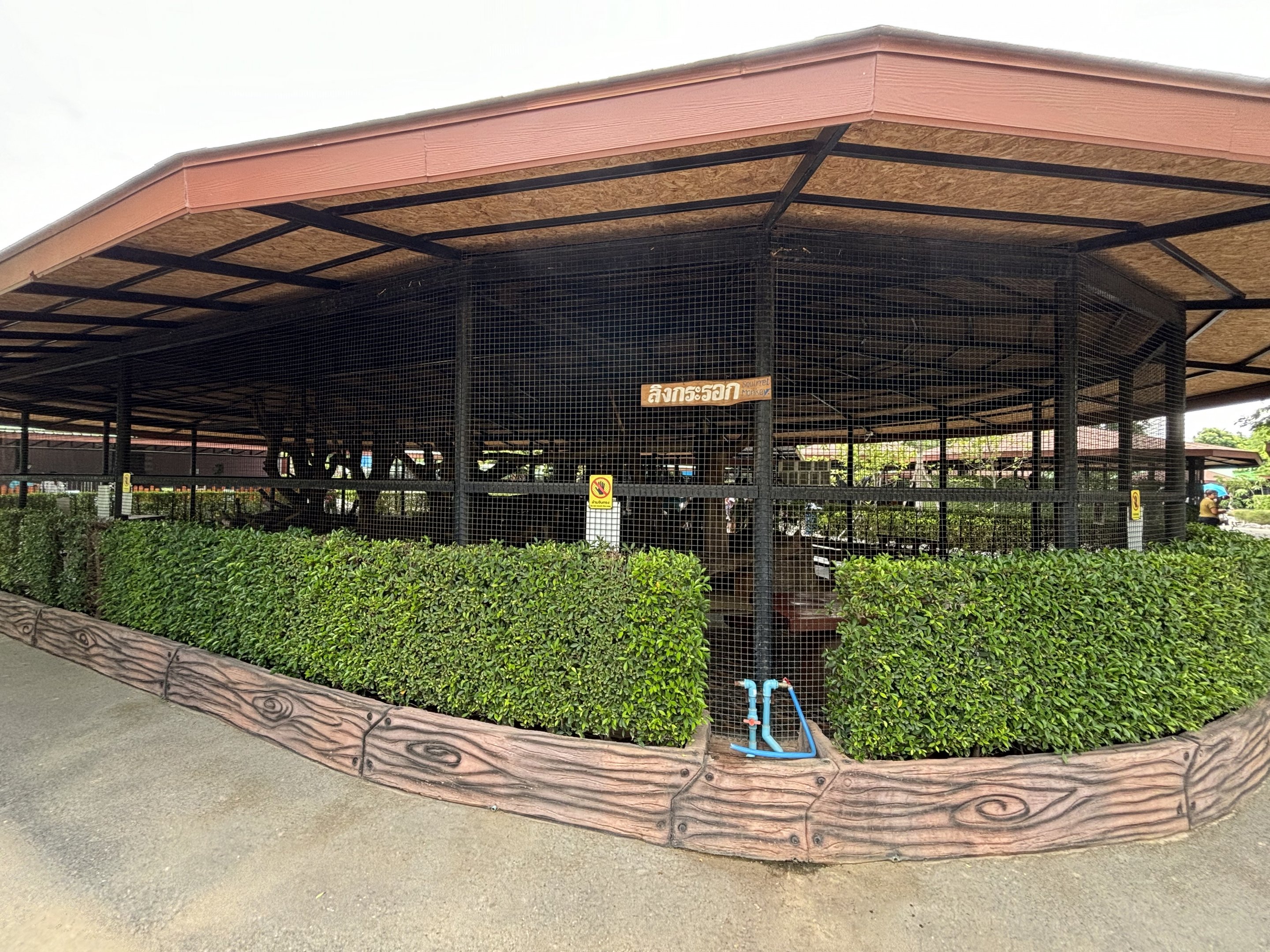 Squirrel Monkey Exhibit - Lion Park