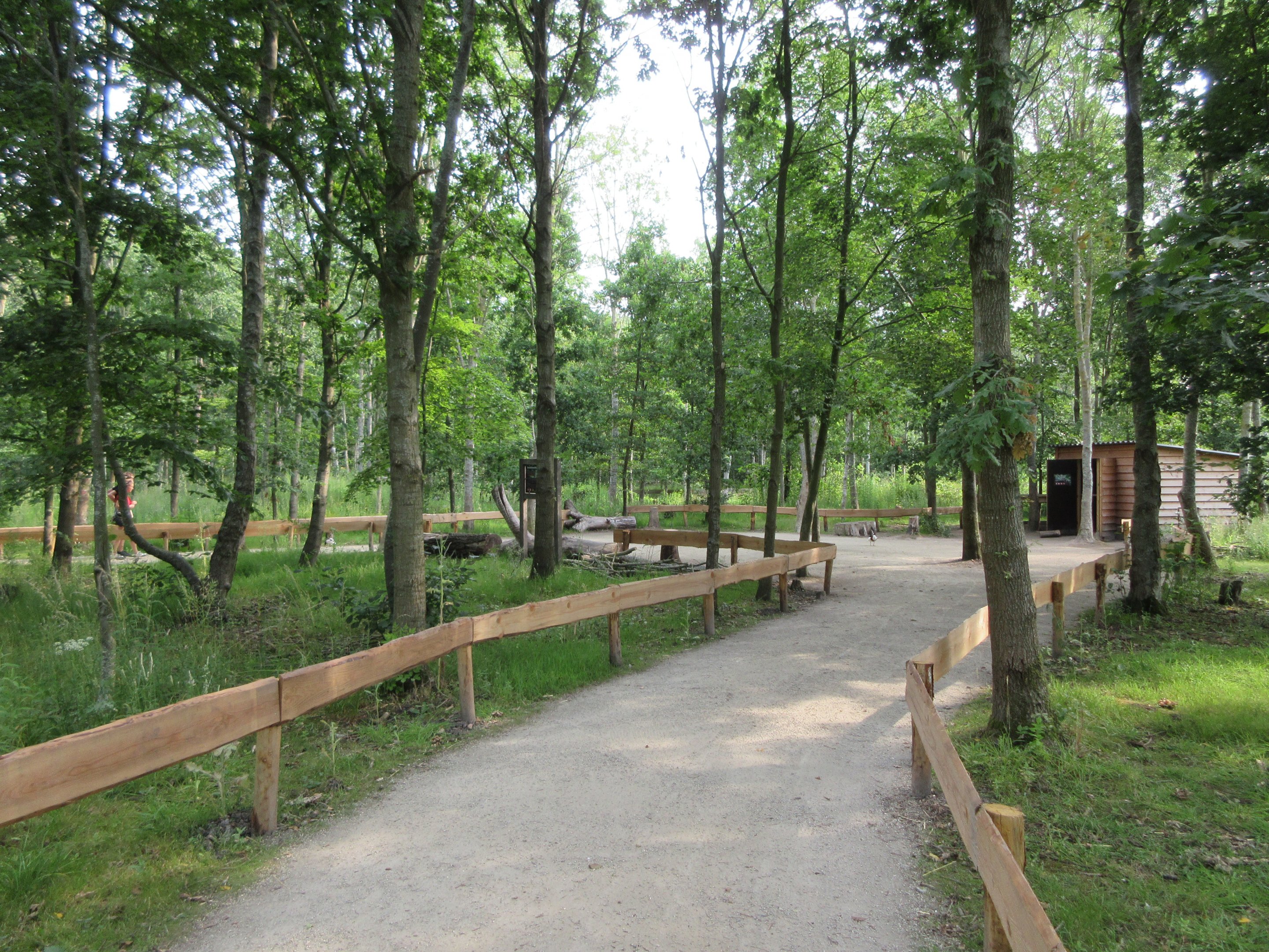 Squirrel Monkey Exhibit (walk-through)