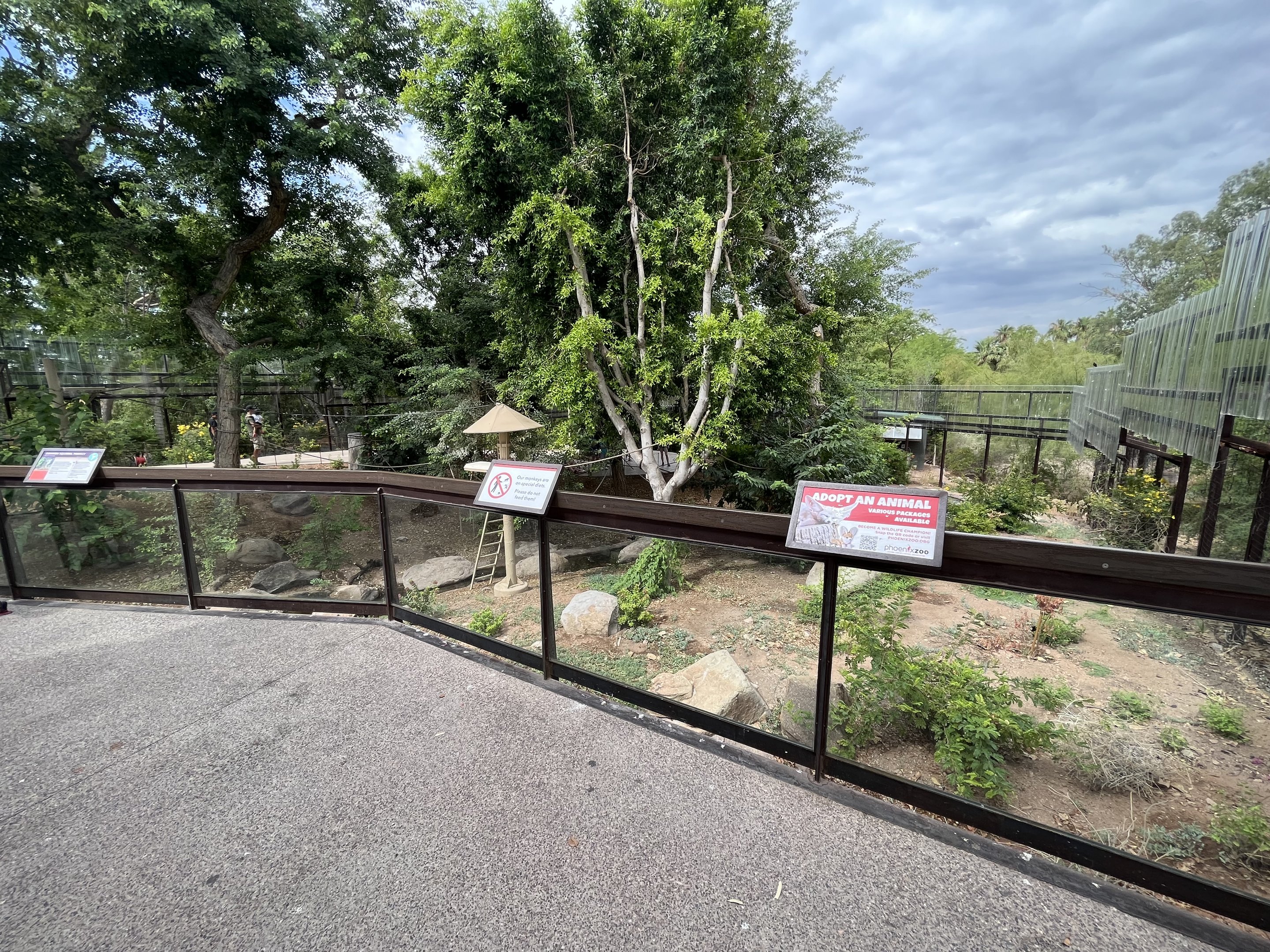Squirrel Monkey Exhibit (walk-through)