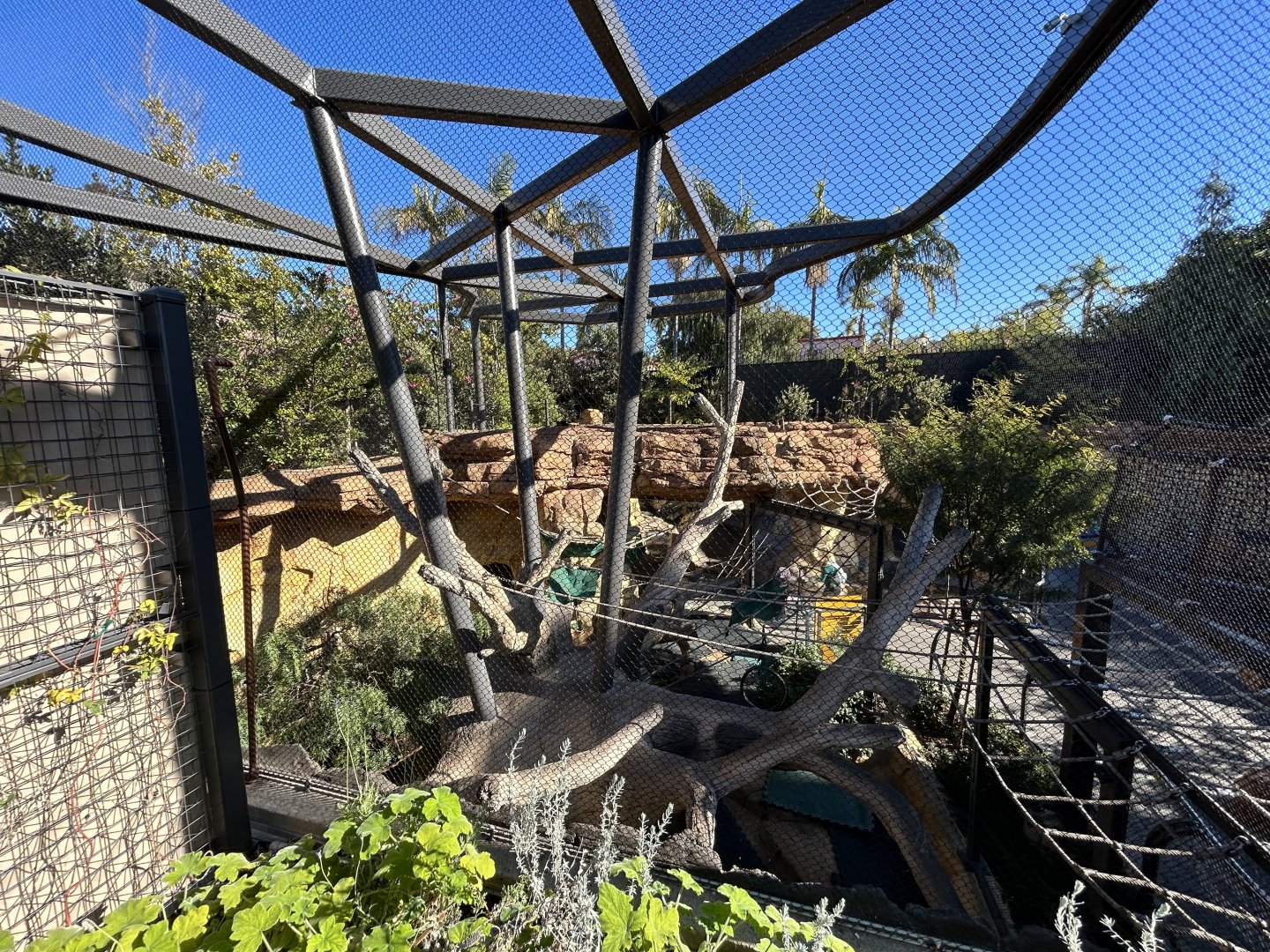 Squirrel Monkey Exhibit - Wildlife Explorers Basecamp
