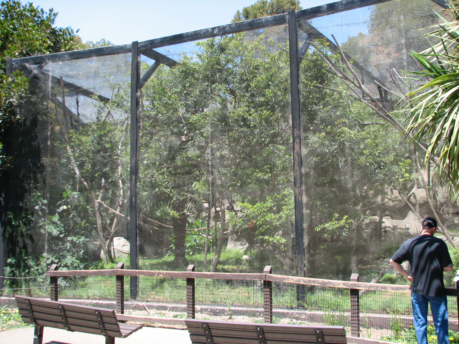 Squirrel Monkey Exhibit