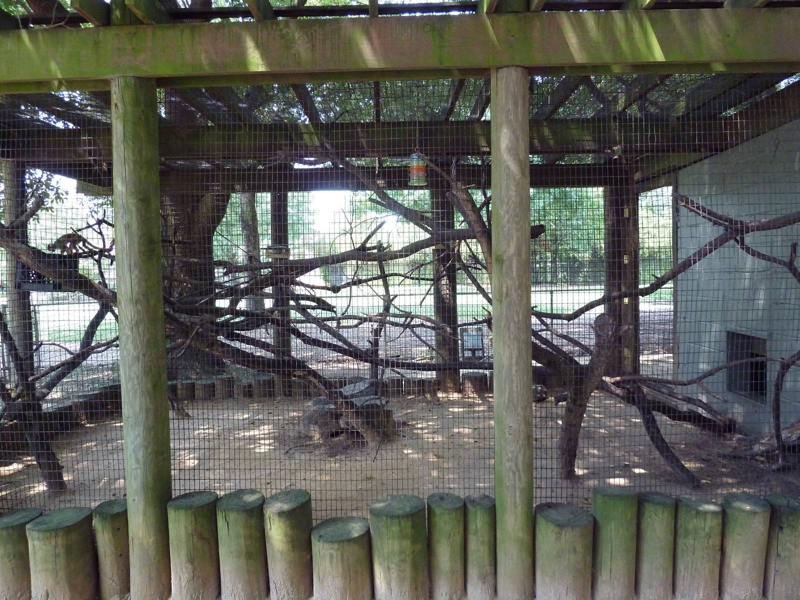 Squirrel Monkey Exhibit