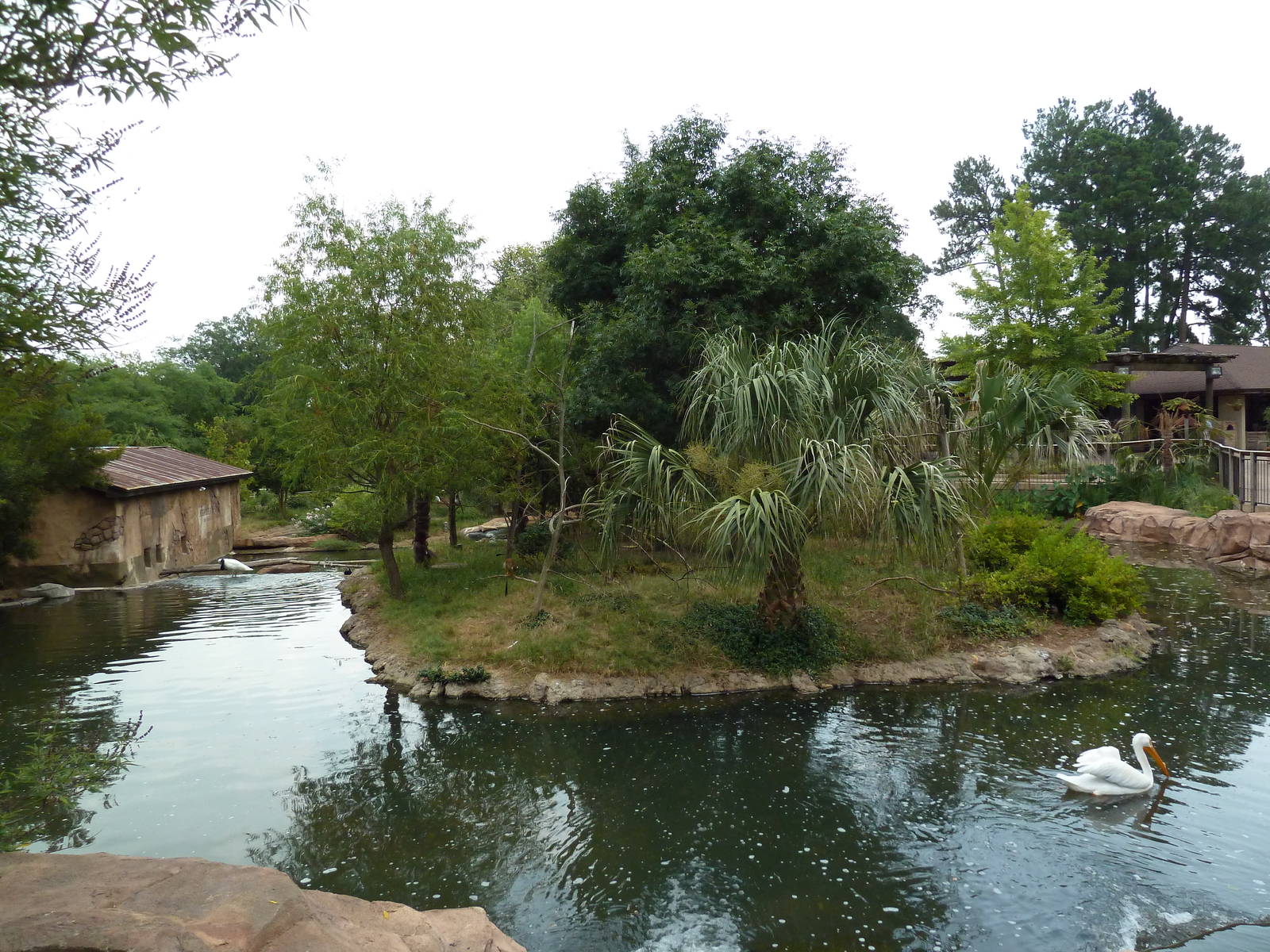 Squirrel Monkey Exhibit
