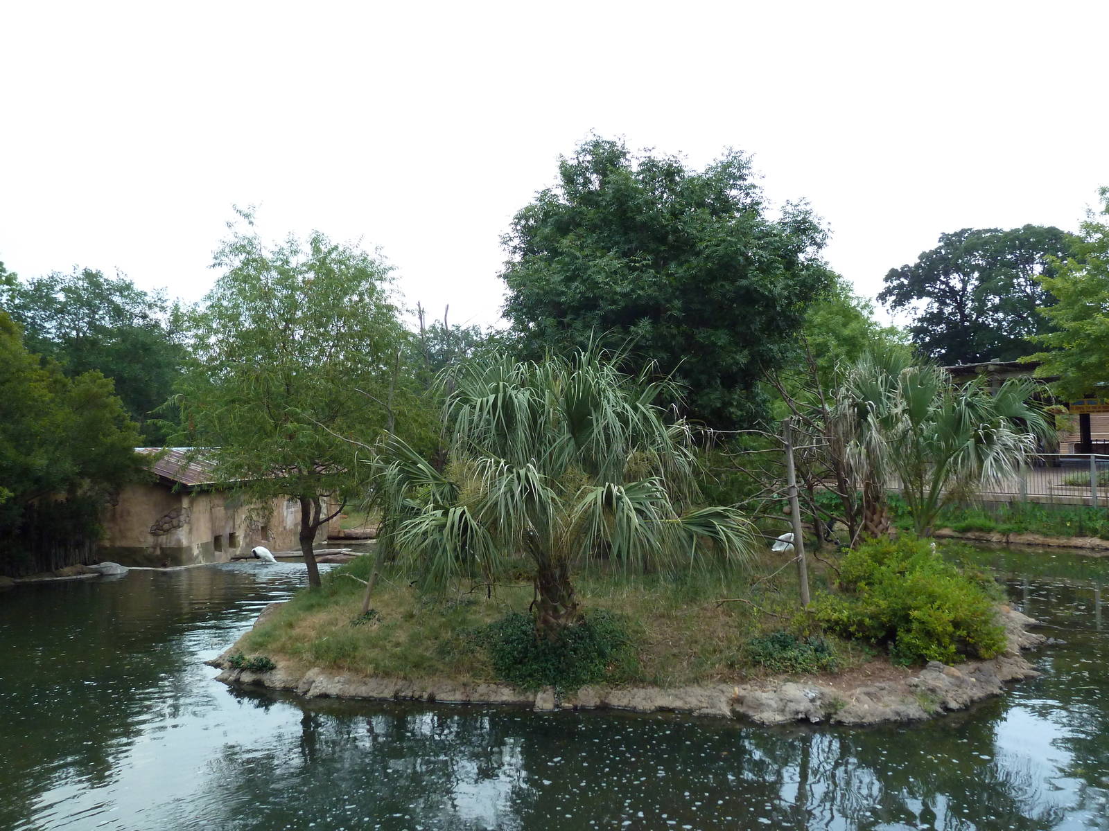 Squirrel Monkey Exhibit