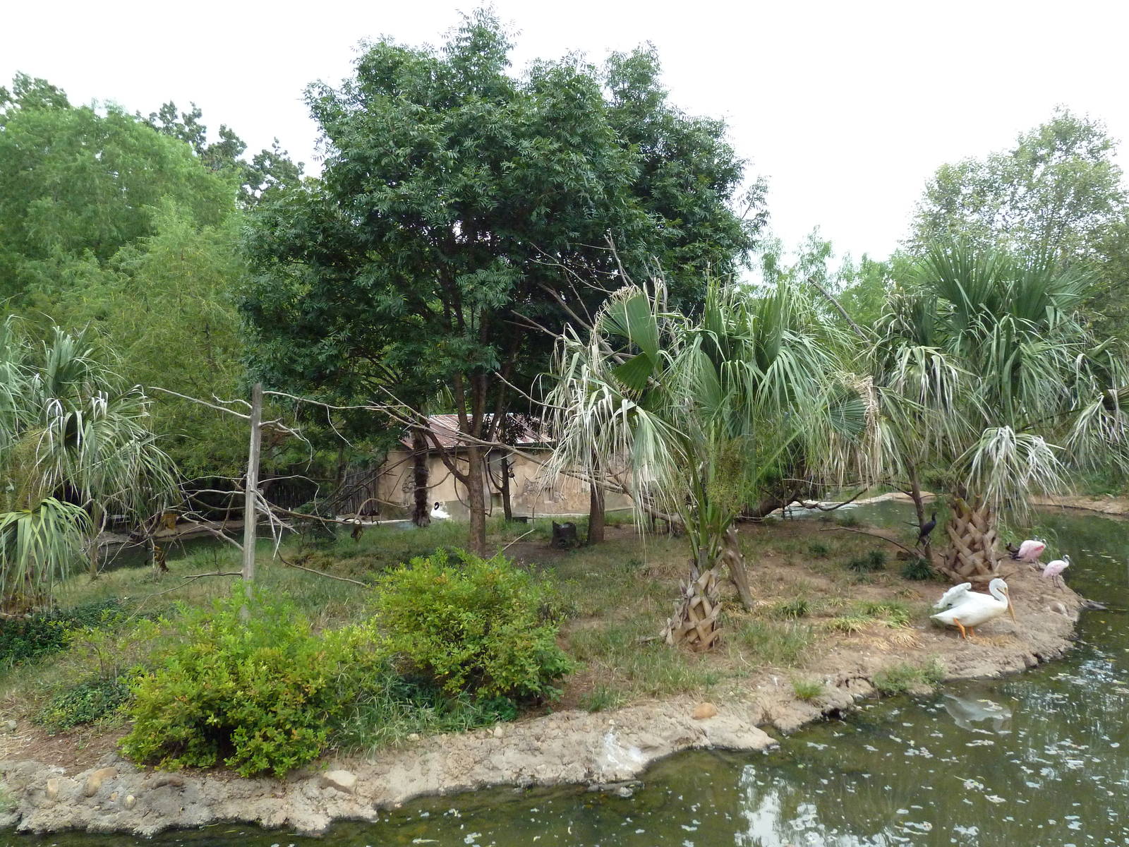 Squirrel Monkey Exhibit