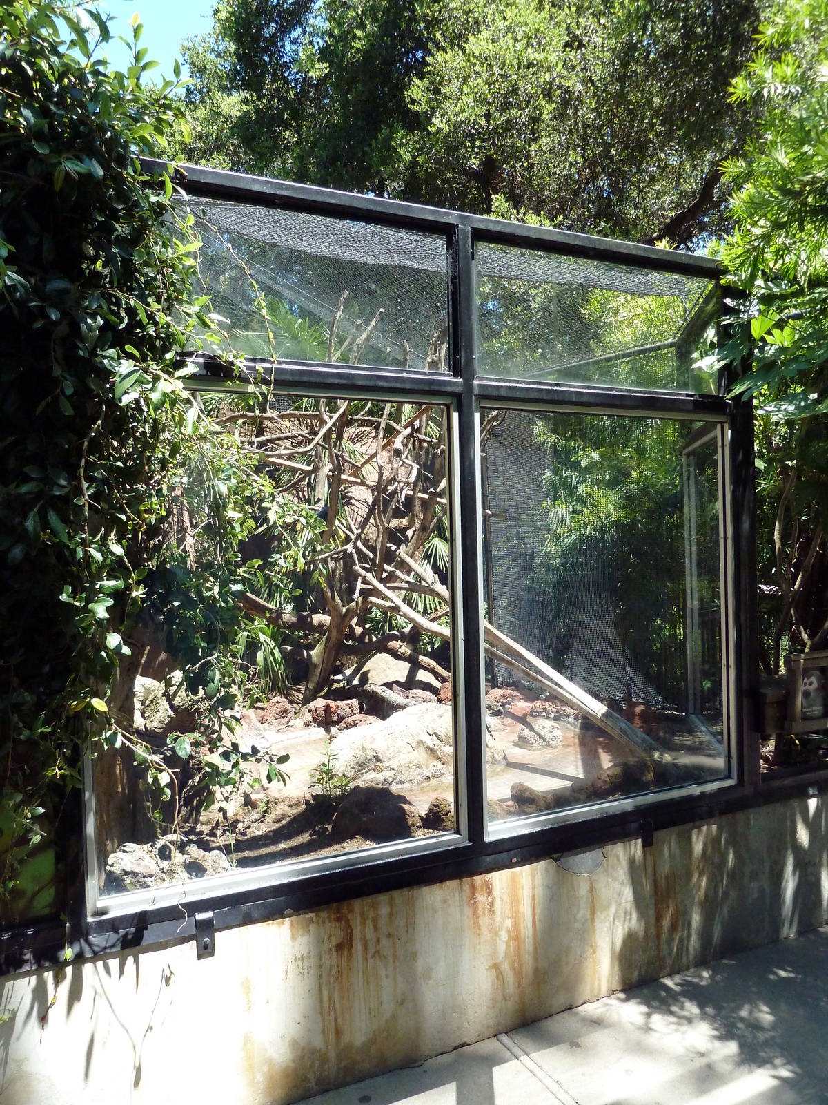 Squirrel Monkey Exhibit