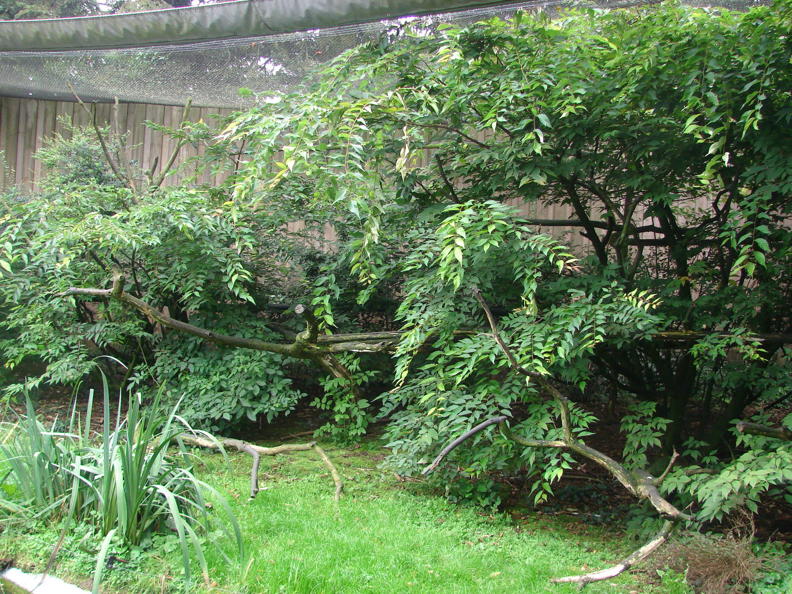 Squirrel monkey exhibit