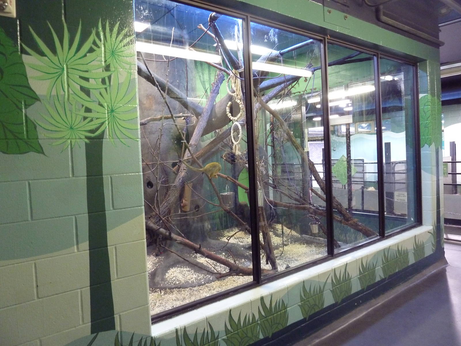 Squirrel Monkey Exhibit