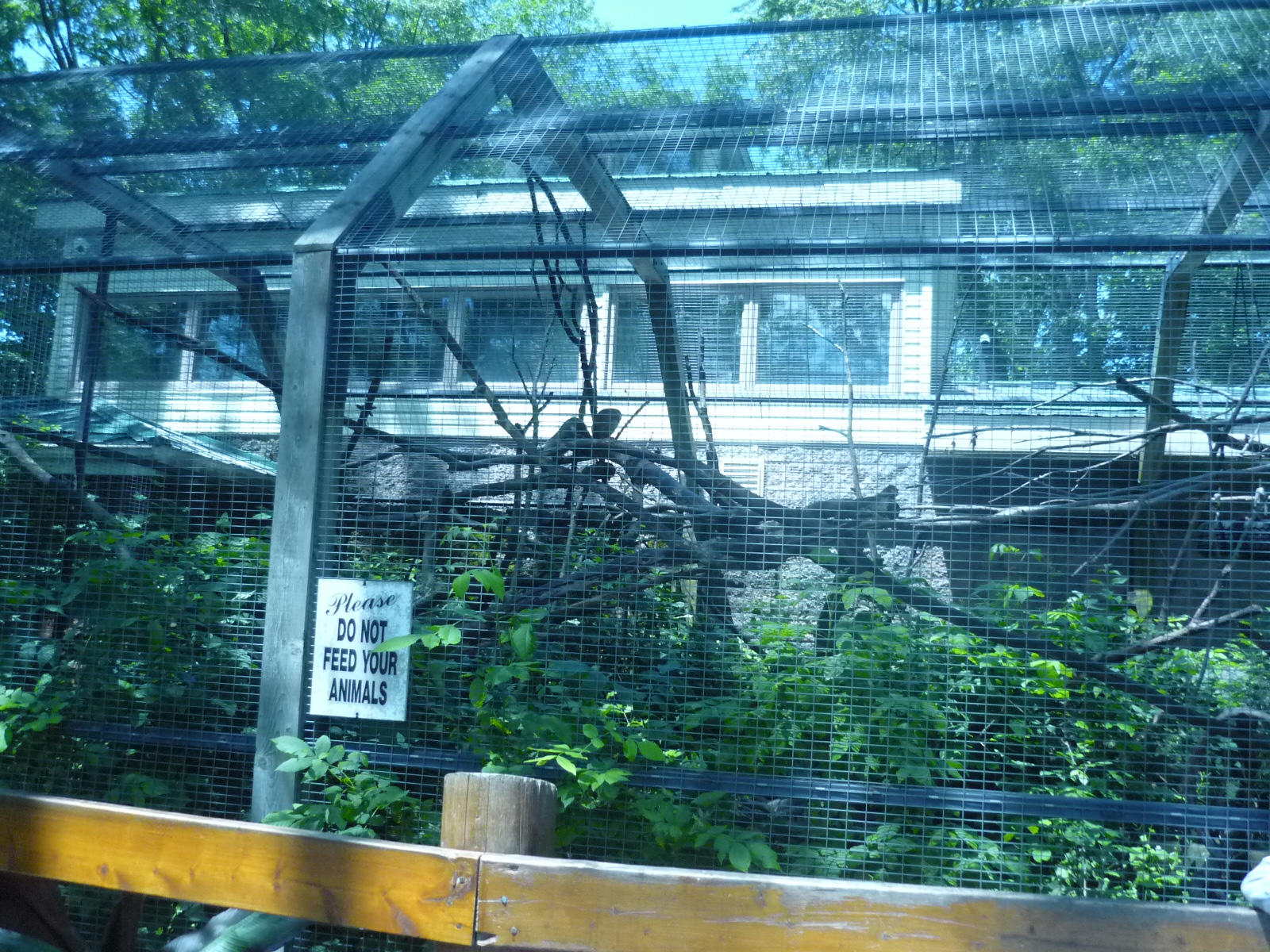 Squirrel Monkey Exhibit