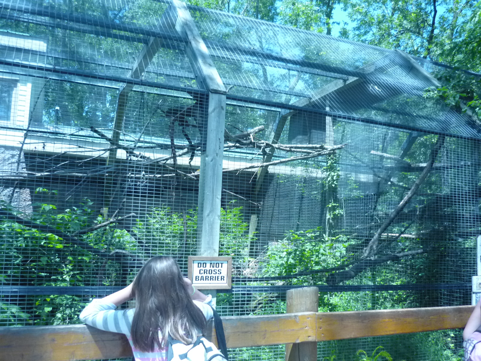Squirrel Monkey Exhibit