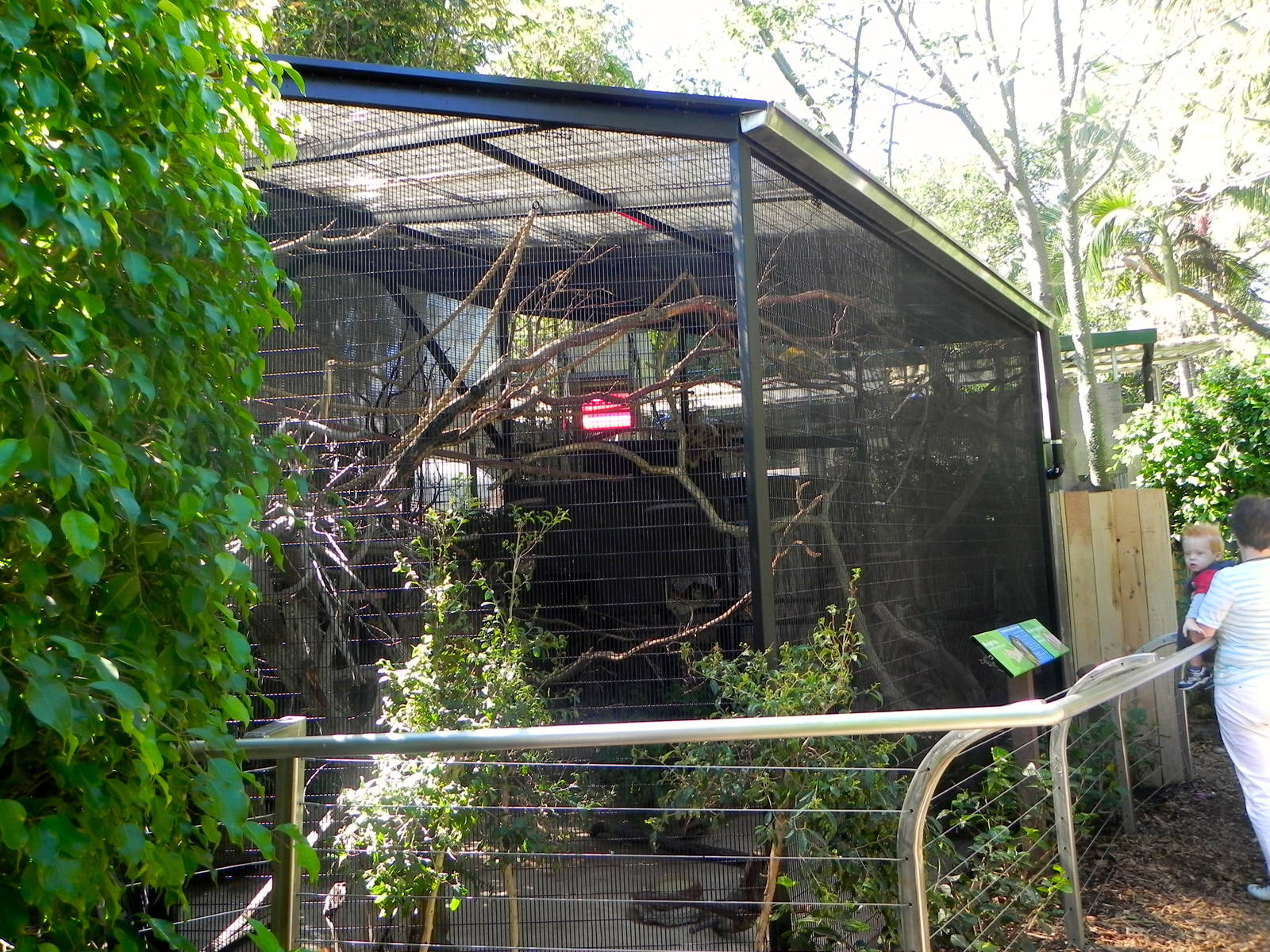 Squirrel monkey exhibit