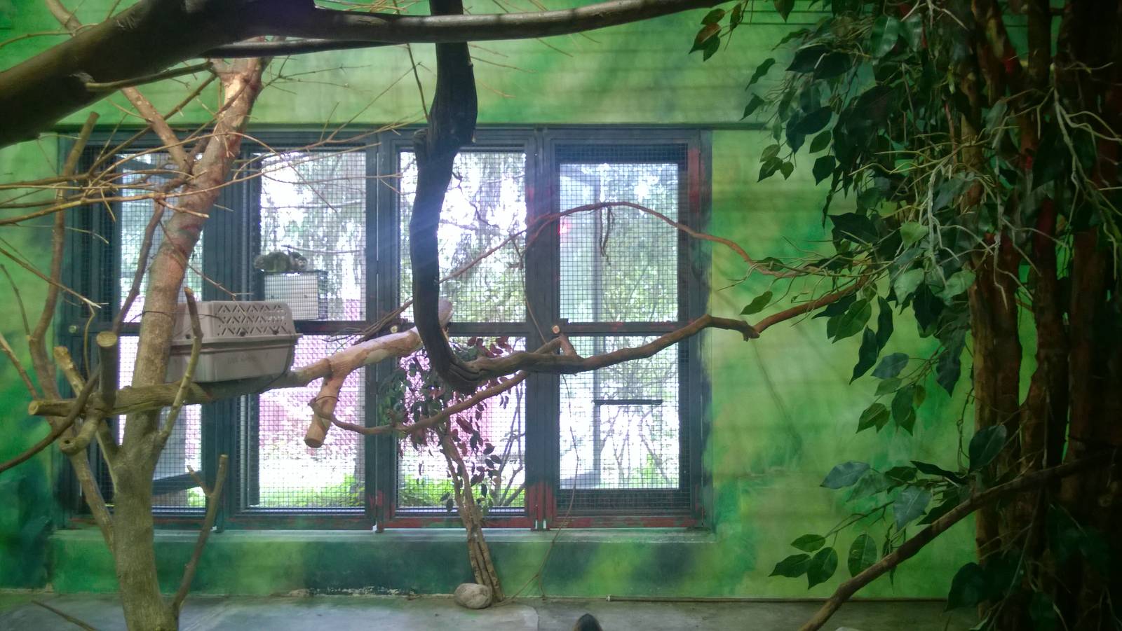 Squirrel Monkey Exhibit