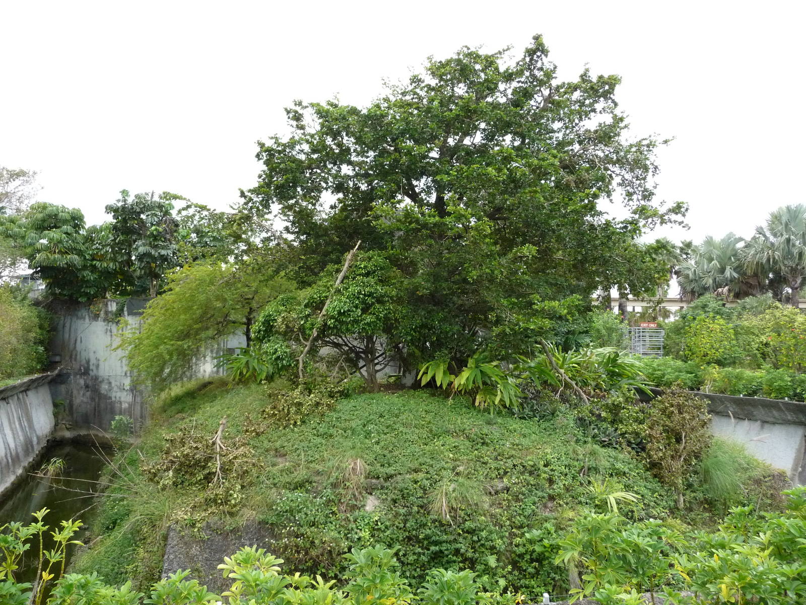 Squirrel Monkey Exhibit
