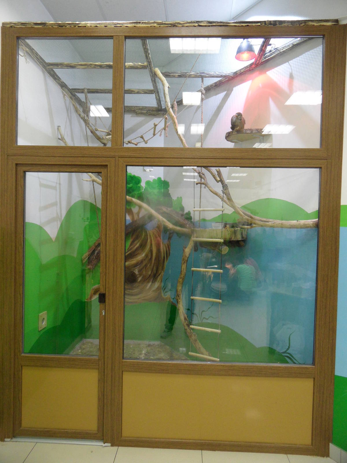 Squirrel monkey exhibit