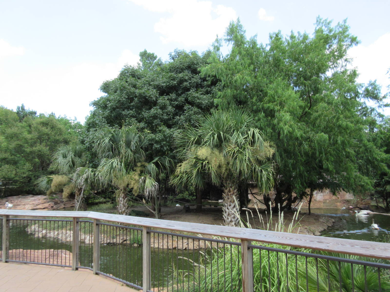 Squirrel Monkey Exhibit
