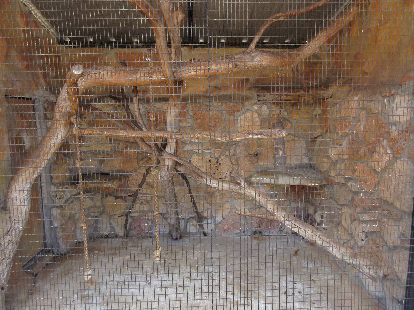 Squirrel Monkey Exhibit