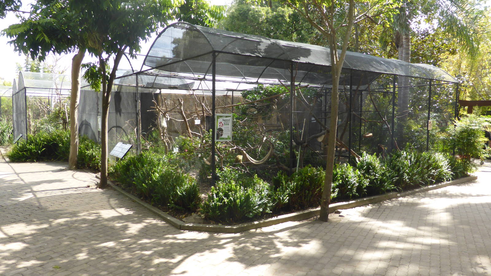 Squirrel monkey exhibit