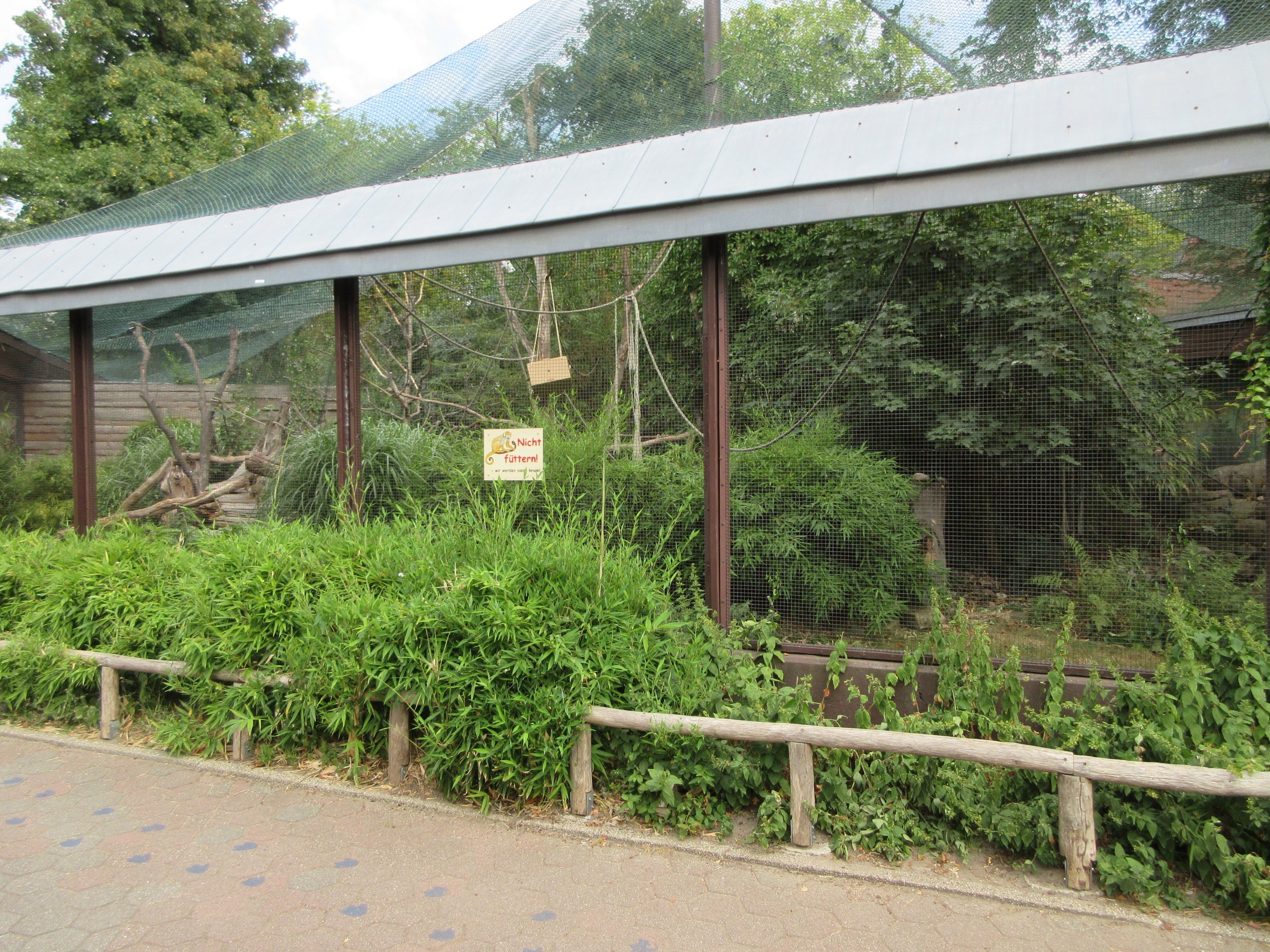 Squirrel Monkey Exhibit