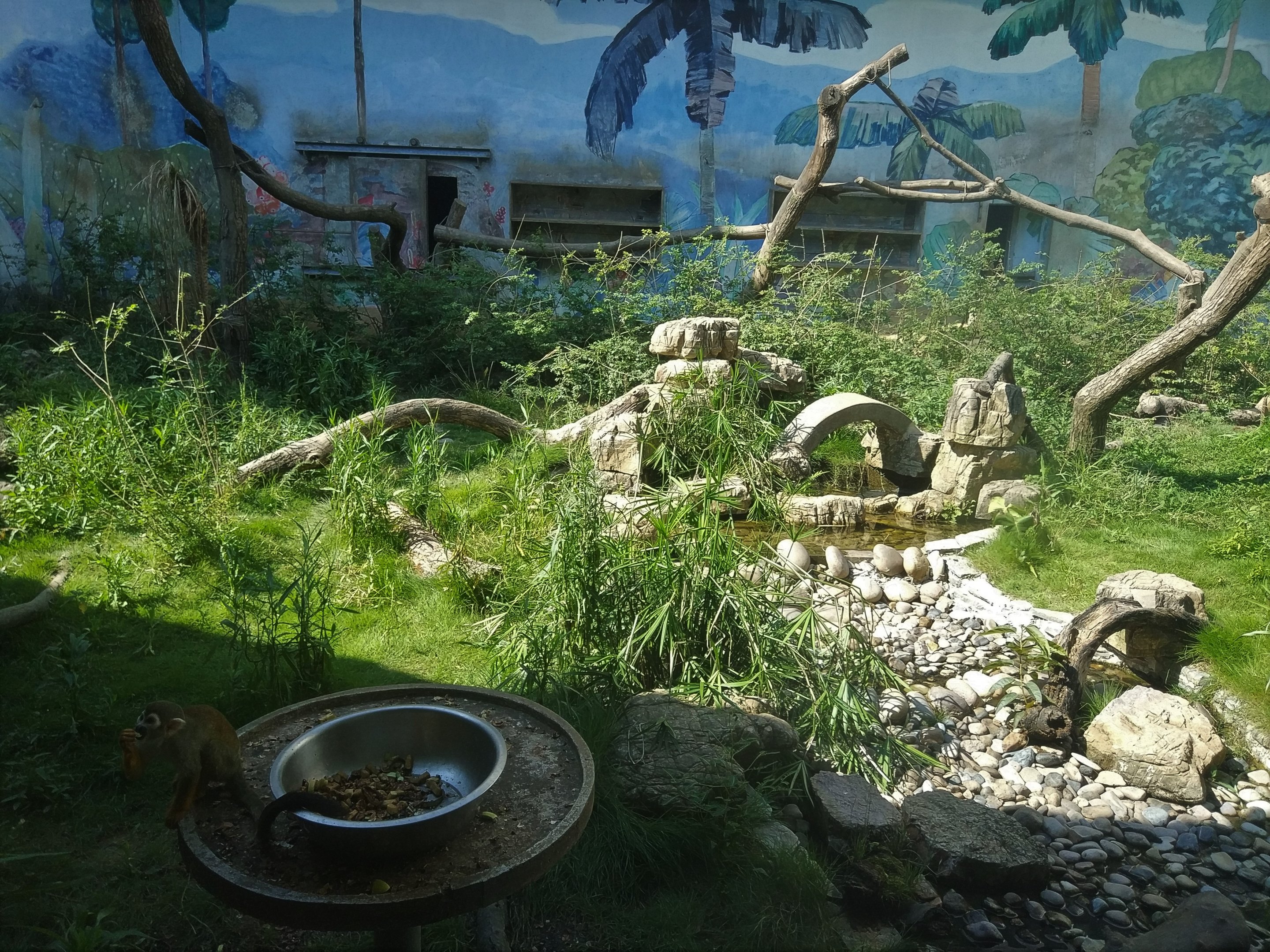 Squirrel Monkey Exhibit