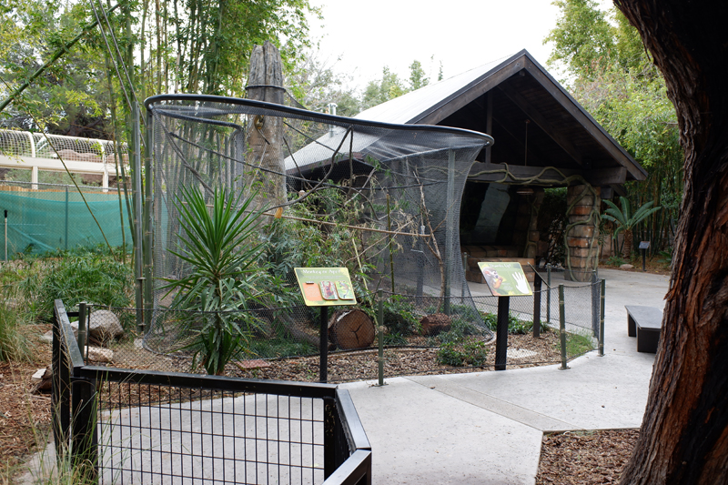 squirrel monkey exhibit