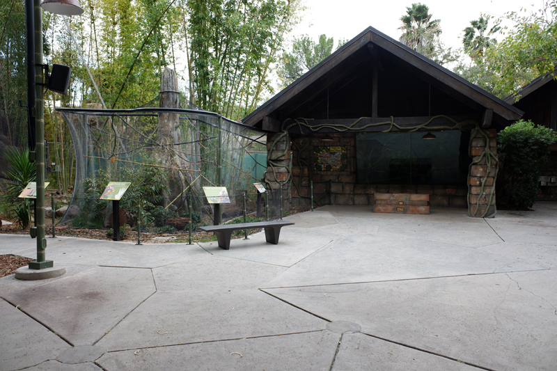 squirrel monkey exhibit