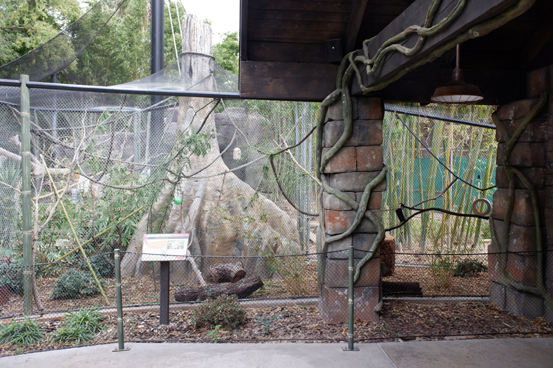 squirrel monkey exhibit