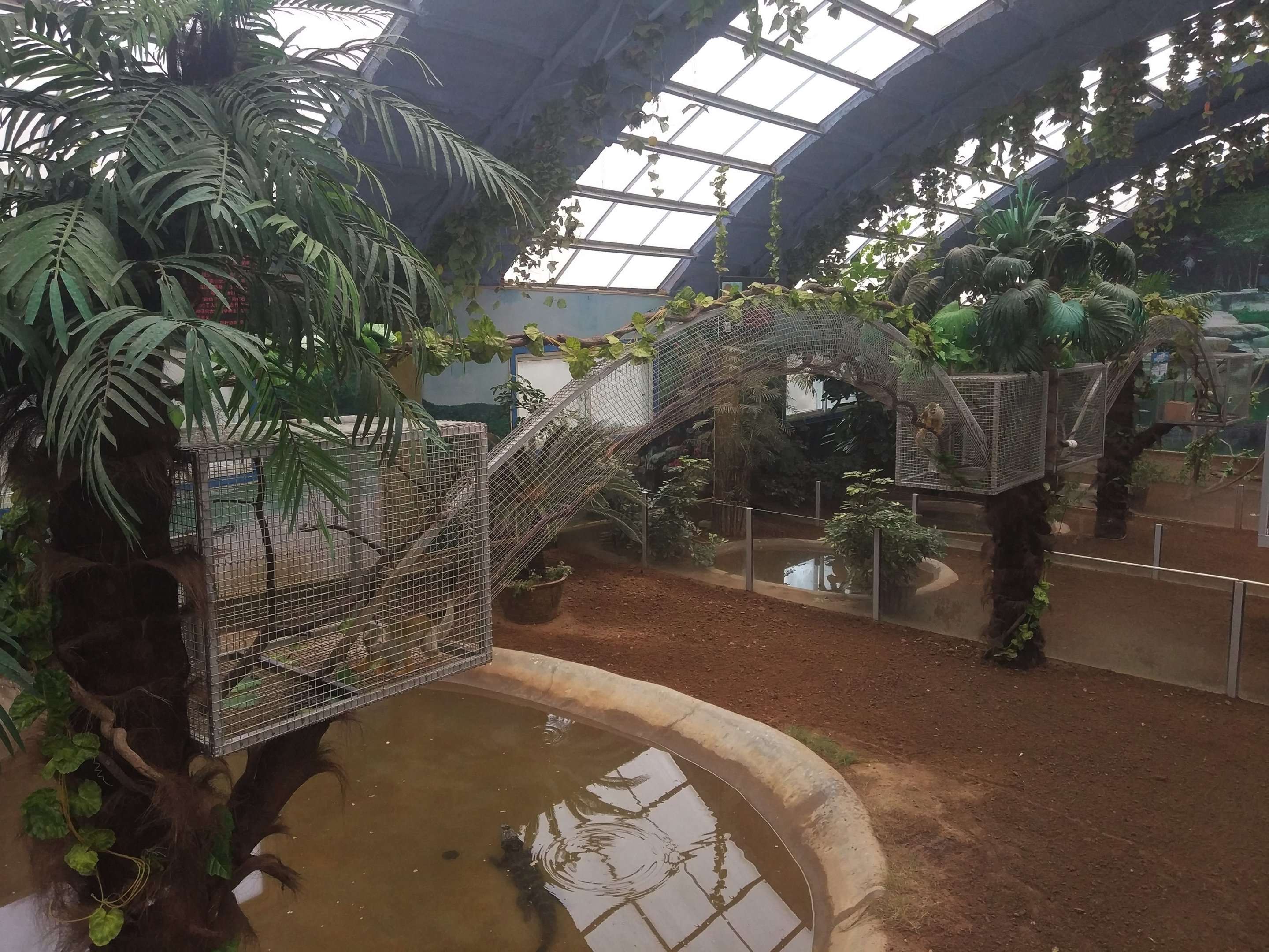 Squirrel Monkey Exhibit