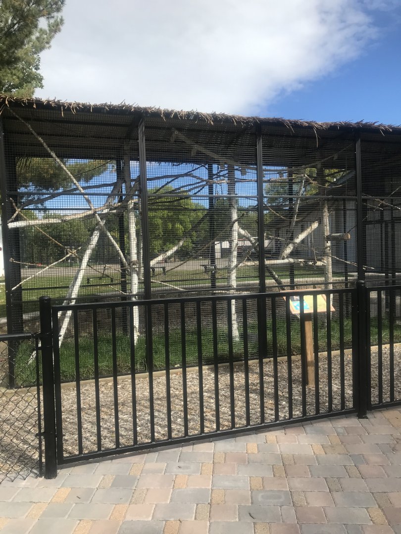 Squirrel Monkey Exhibit