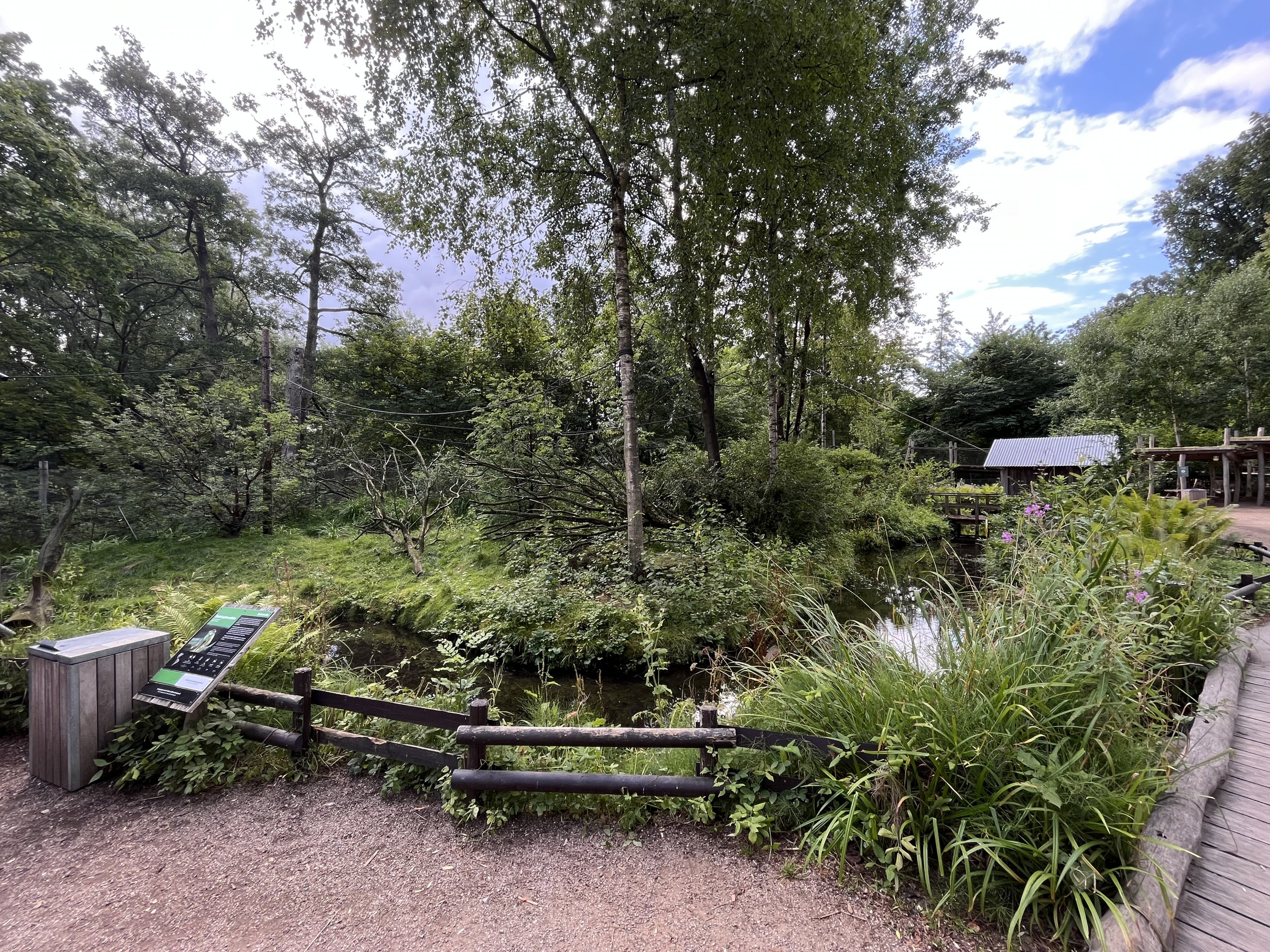 Squirrel Monkey Exhibit