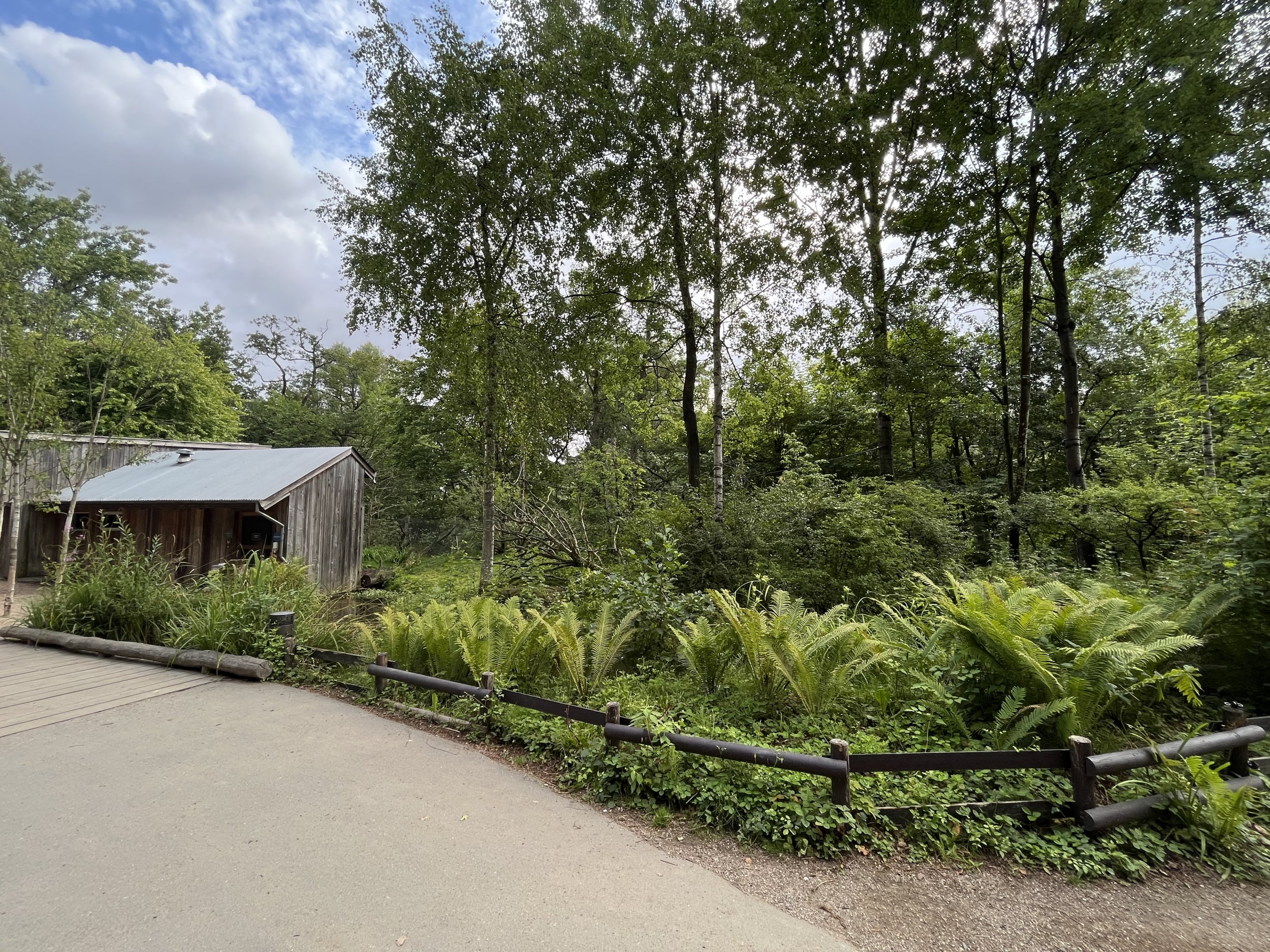 Squirrel Monkey Exhibit