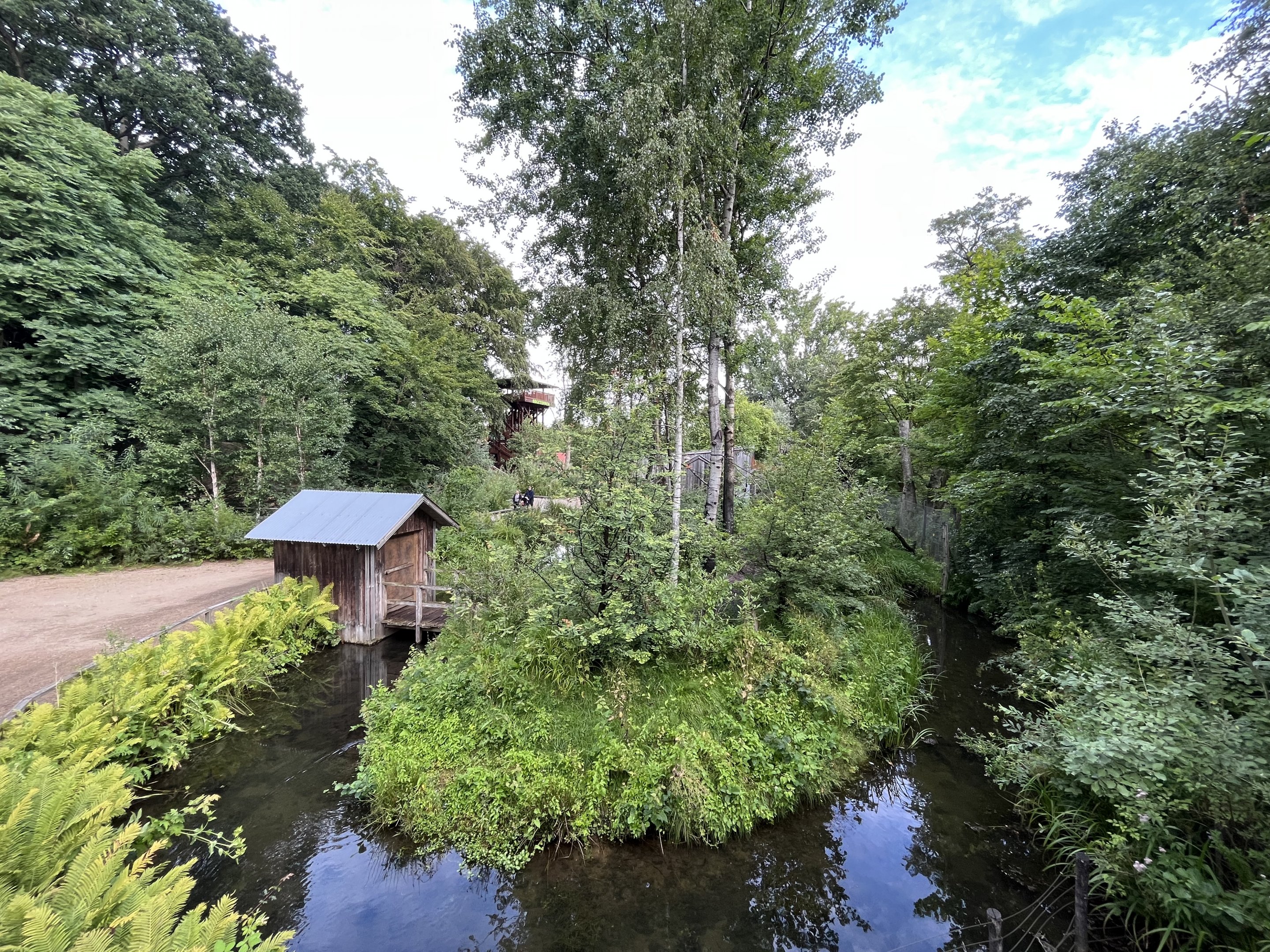 Squirrel Monkey Exhibit