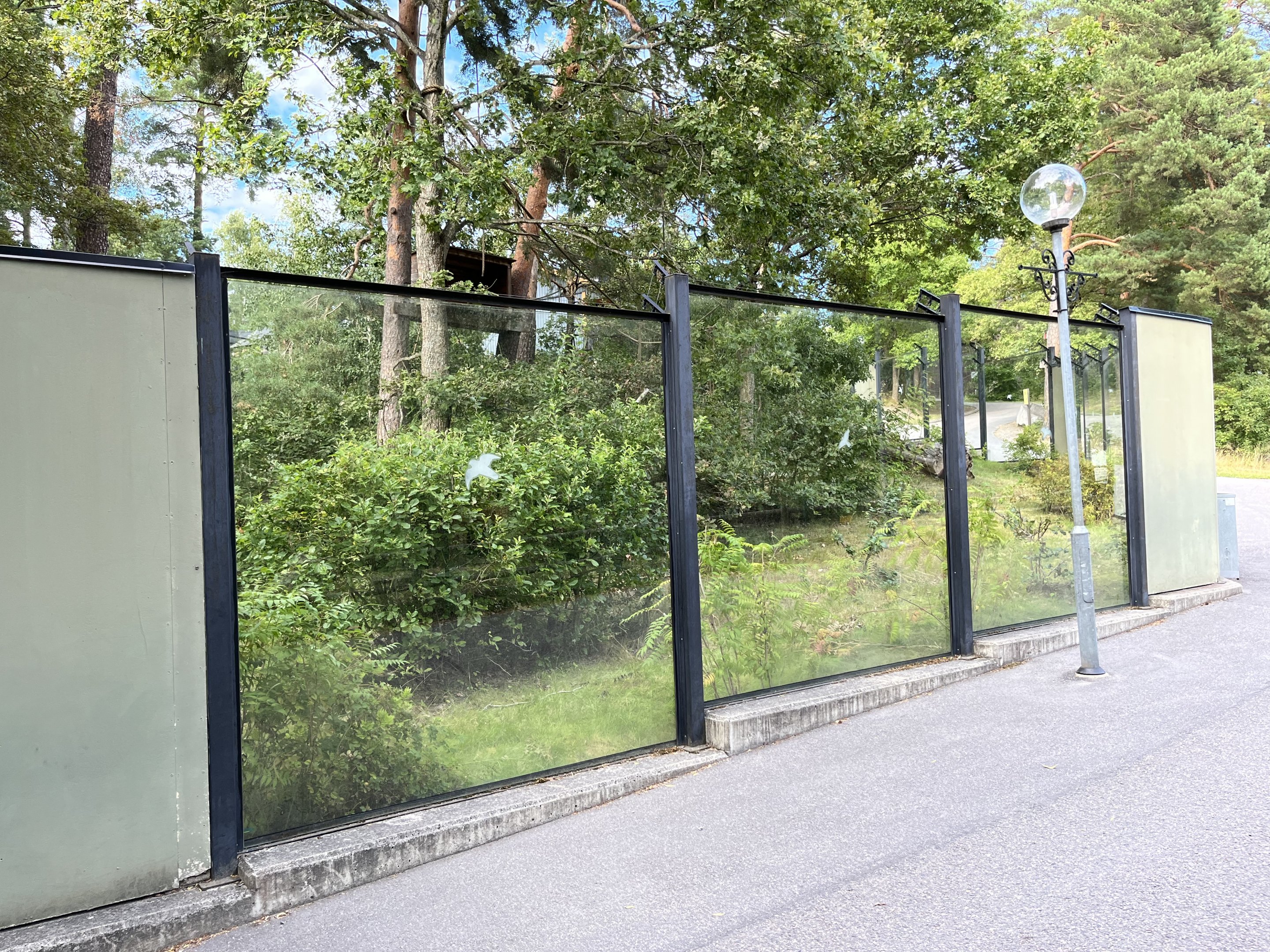 Squirrel Monkey Exhibit